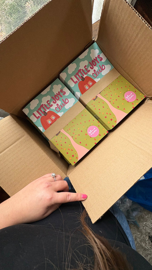 Little Joys Zine